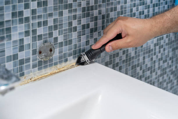 Mold Removal Process in South Jacksonville, IL